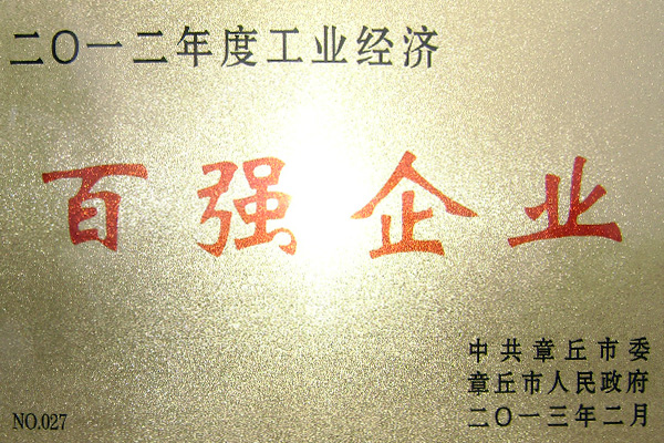 Top 100 enterprises Top 100 enterprises