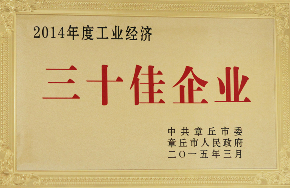 Thirty best enterprises in 2014