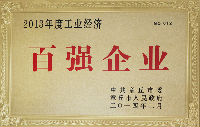 2013年度工业经济百强企业